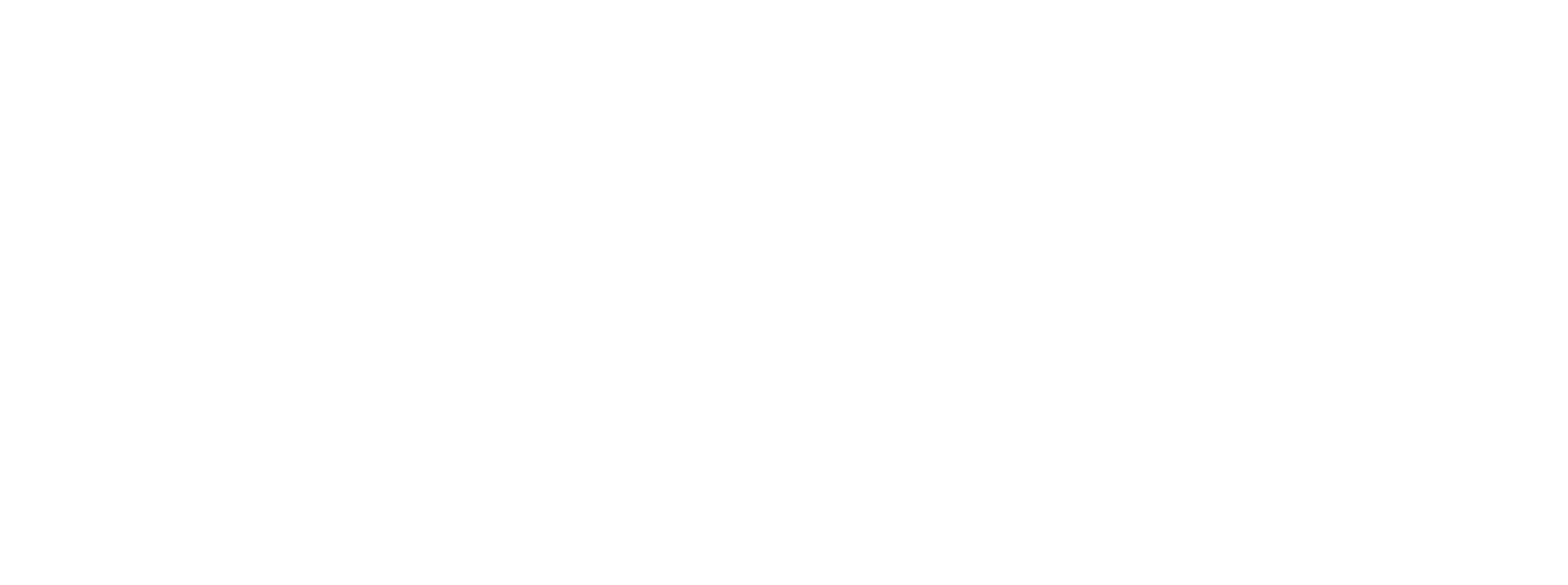 Saford Software Solutions